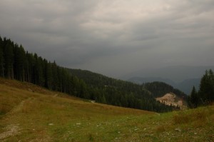 DSC-5013