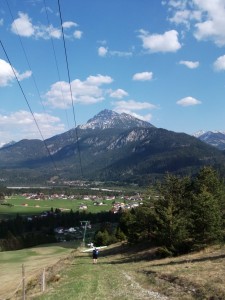 DSCF0565
