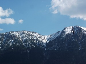 DSCF0568