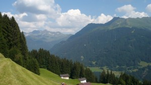 P1060628