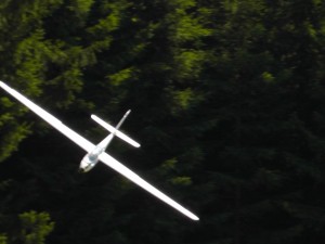 S1030011