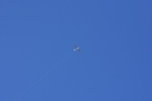 s 20160326-1248-DSC 1693