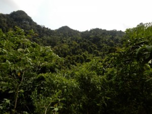 vietnam 2019 (25)   