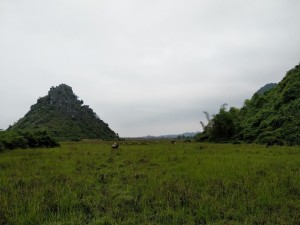 vietnam 2019 (37)   