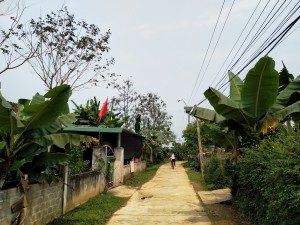 vietnam 2019 (38)   