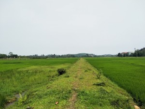 vietnam 2019 (40)   