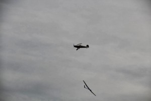 IMG-8301