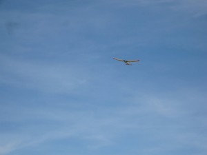 P1040680