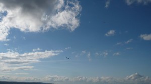 P1060908