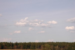 DSC-7571