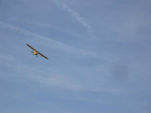 P1030608