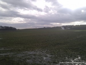 IMG-20110108-133305