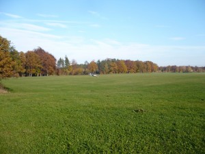 P1050891